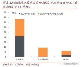 透過城投與非國企債擔保，解析專業(yè)擔保公司信用風險跟蹤