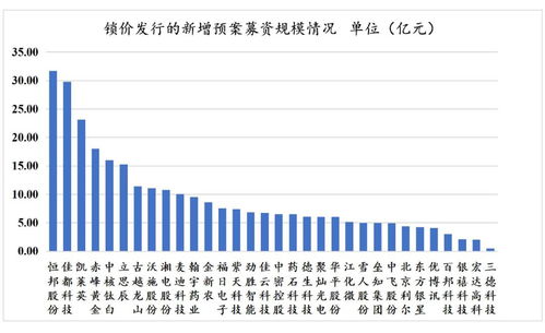再融資新政下非公開發(fā)行戰(zhàn)略投資者深度研究 聚焦非融資性擔保機構的角色與挑戰(zhàn)